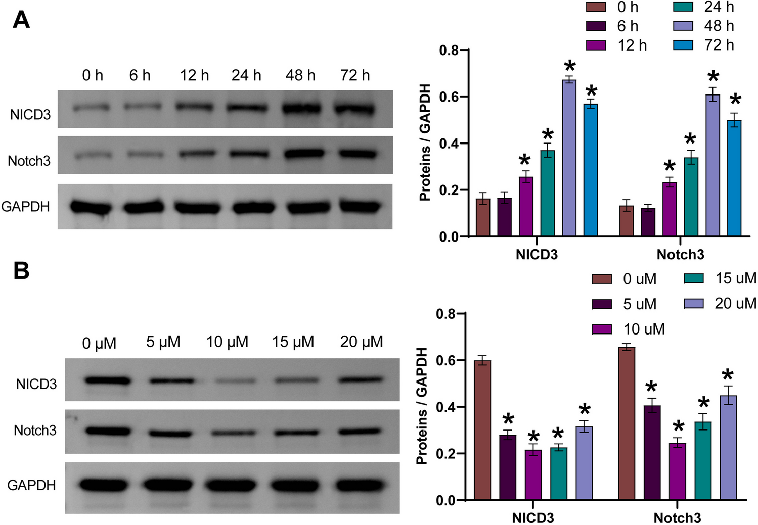 RO4929097 inhibits NICD3 to alleviate pulmonary hypertension via blocking Notch3/HIF-2α/FoxM1 signaling pathway