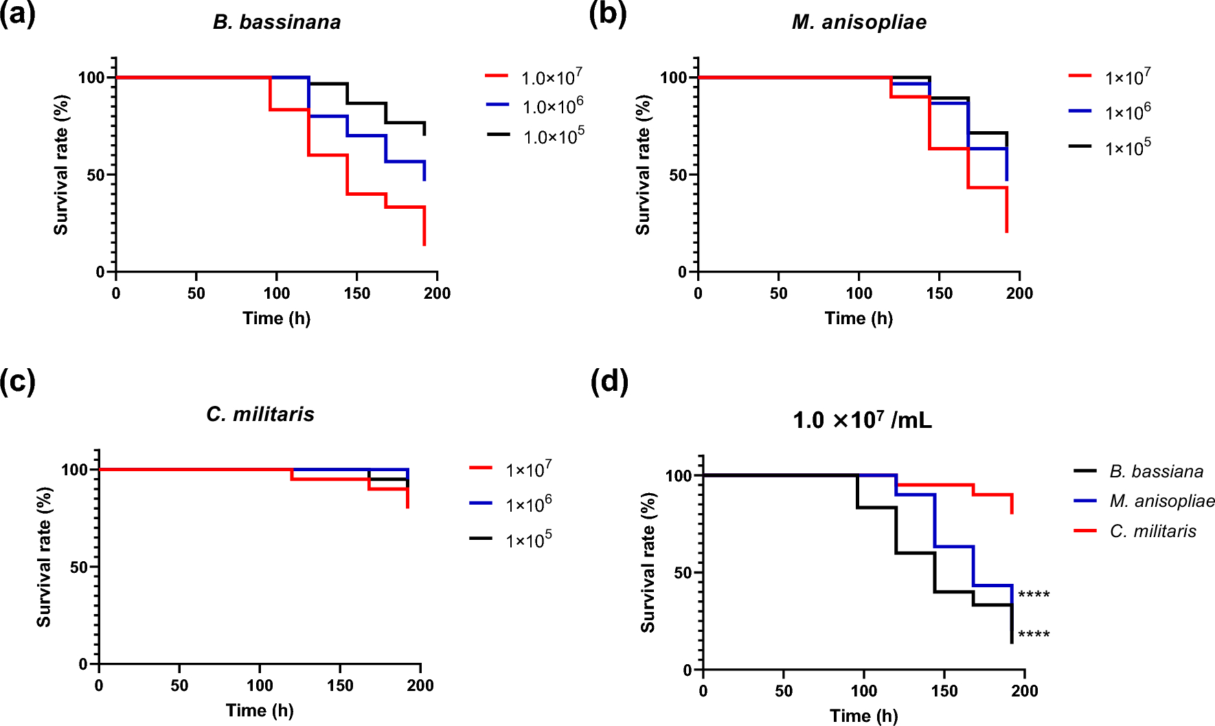 Topical Infection of Cordyceps militaris in Silkworm Larvae Through the Cuticle has Lower Infectivity Compared to Beauveria bassiana and Metarhizium anisopliae