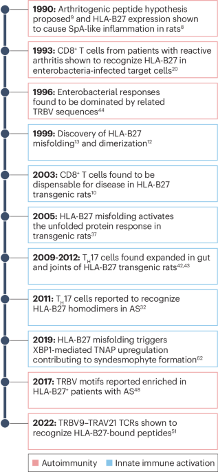 HLA-B27 and spondyloarthritis: at the crossroads of innate and adaptive immunity