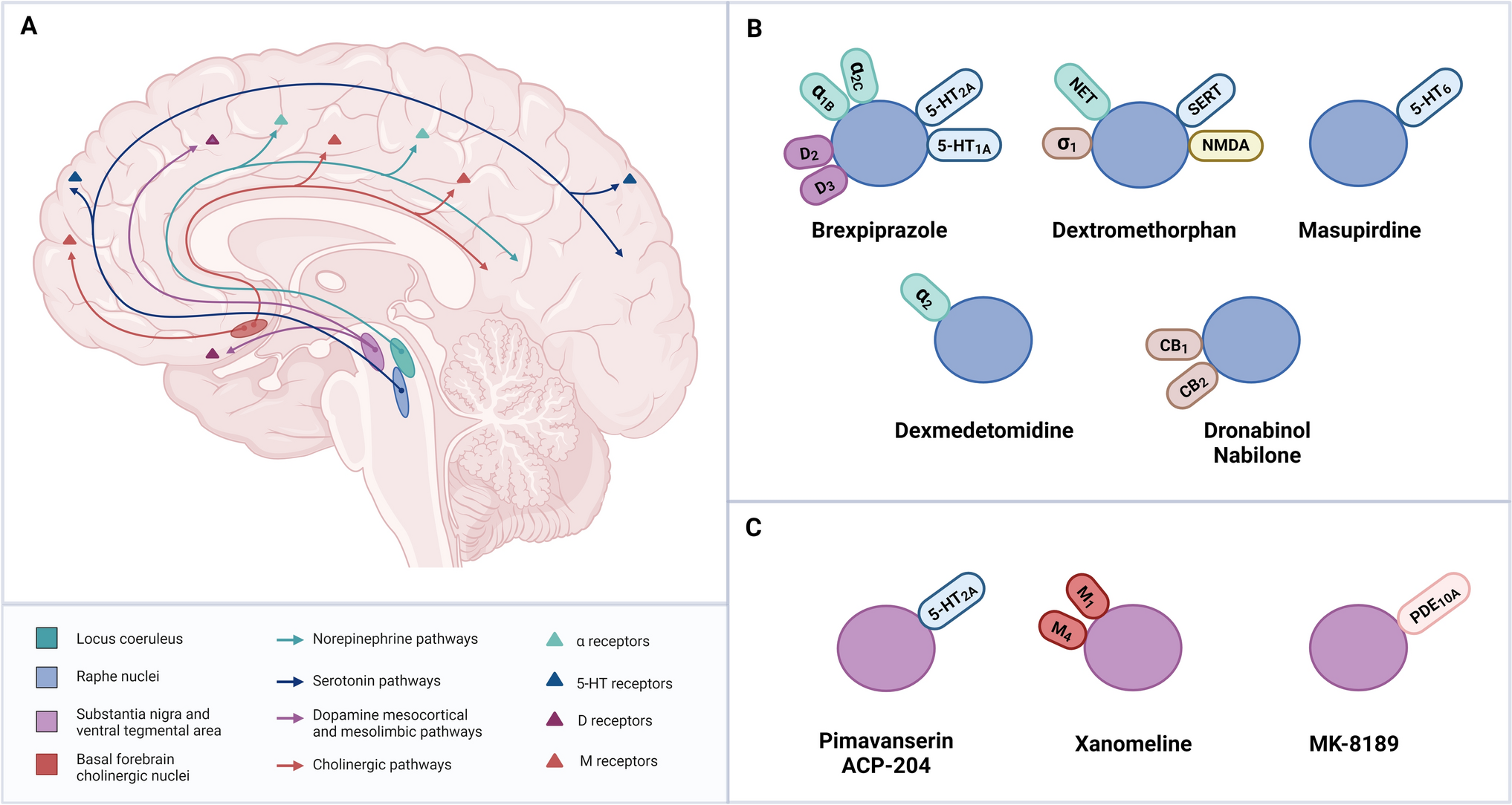 Emerging Pharmacological Approaches for Psychosis and Agitation in Alzheimer’s Disease