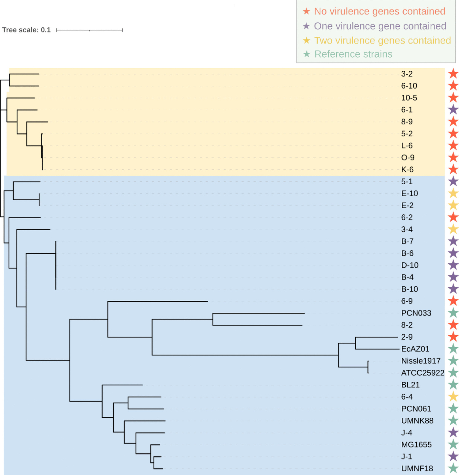 Isolation, evolution, and biological characterization of non-virulent and non-drug-resistant Escherichia coli from porcine intestine