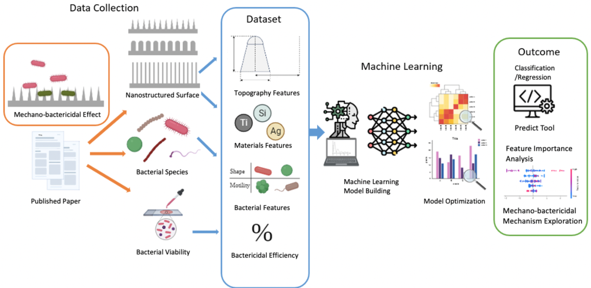 A supervised machine learning tool to predict the bactericidal efficiency of nanostructured surface