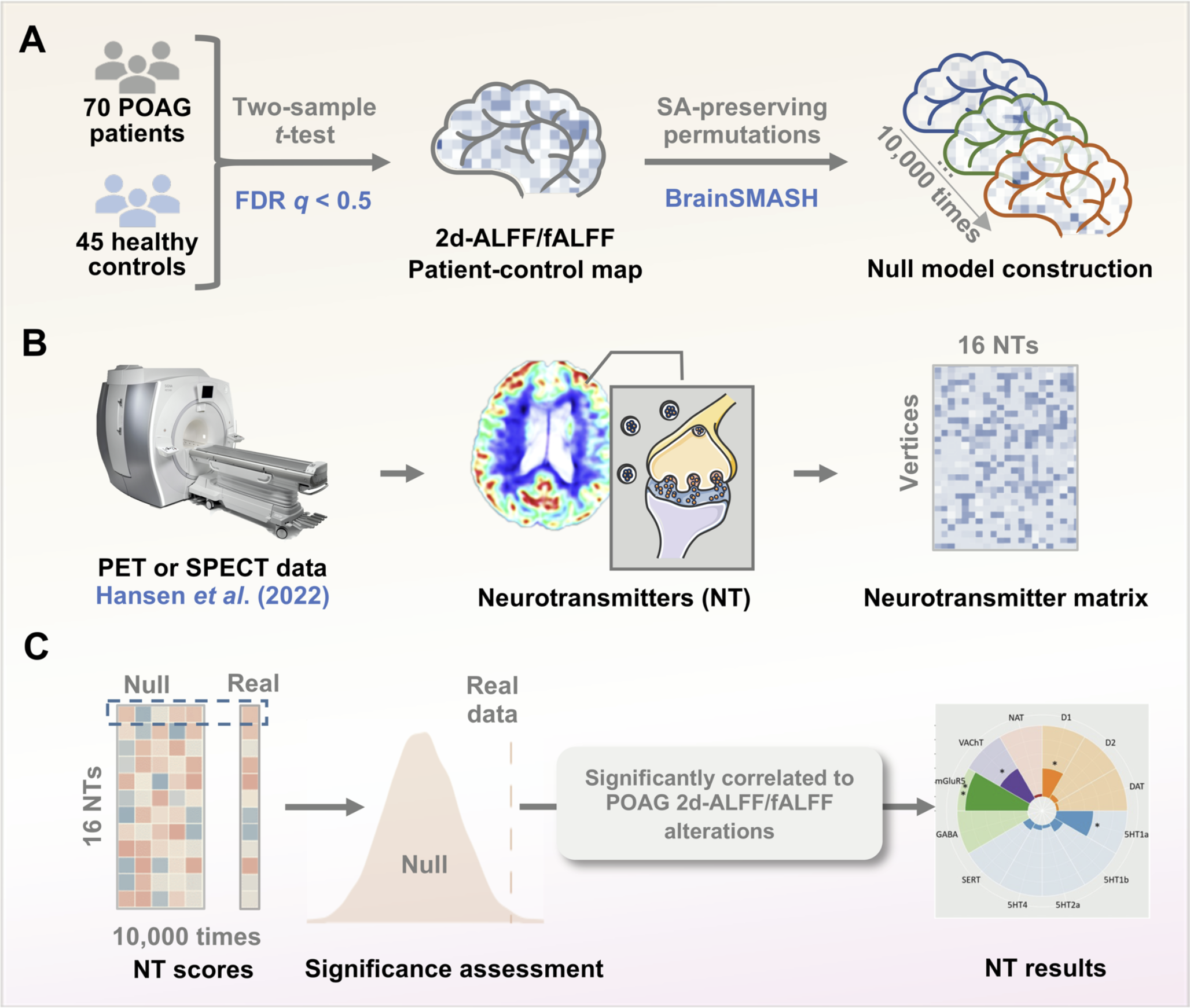 Alterations in surface-based amplitude of low-frequency fluctuations primary open-angle glaucoma link to neurotransmitter profiling and visual impairment severity