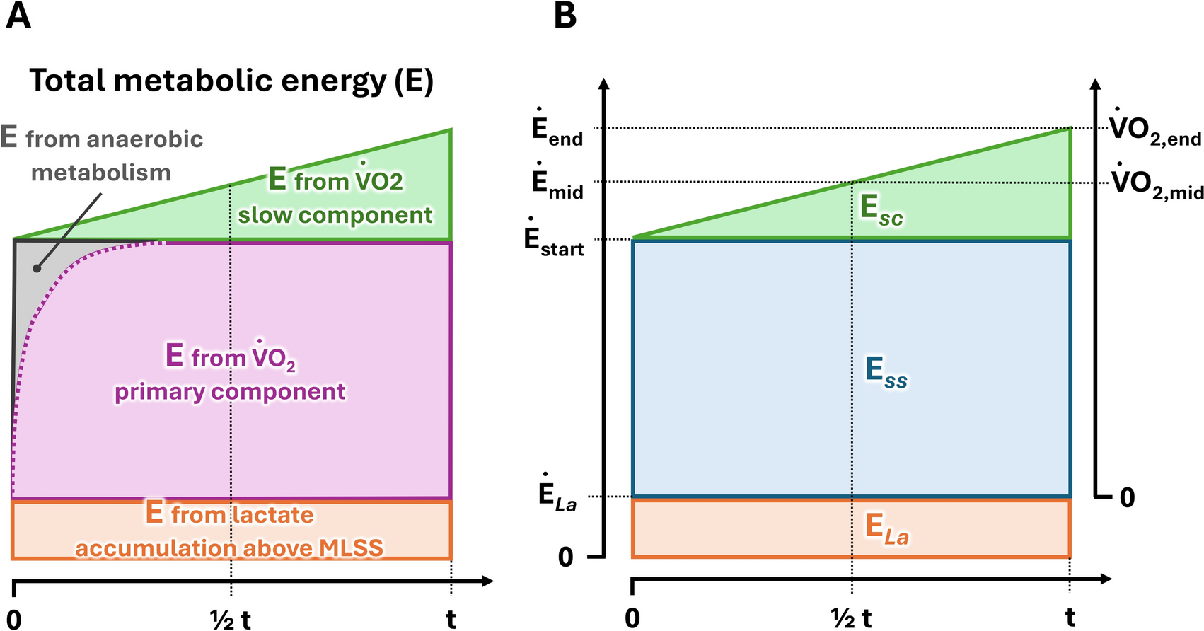 Energy balance analysis suggests that lactate is not a direct cause of the slow component of oxygen uptake kinetics