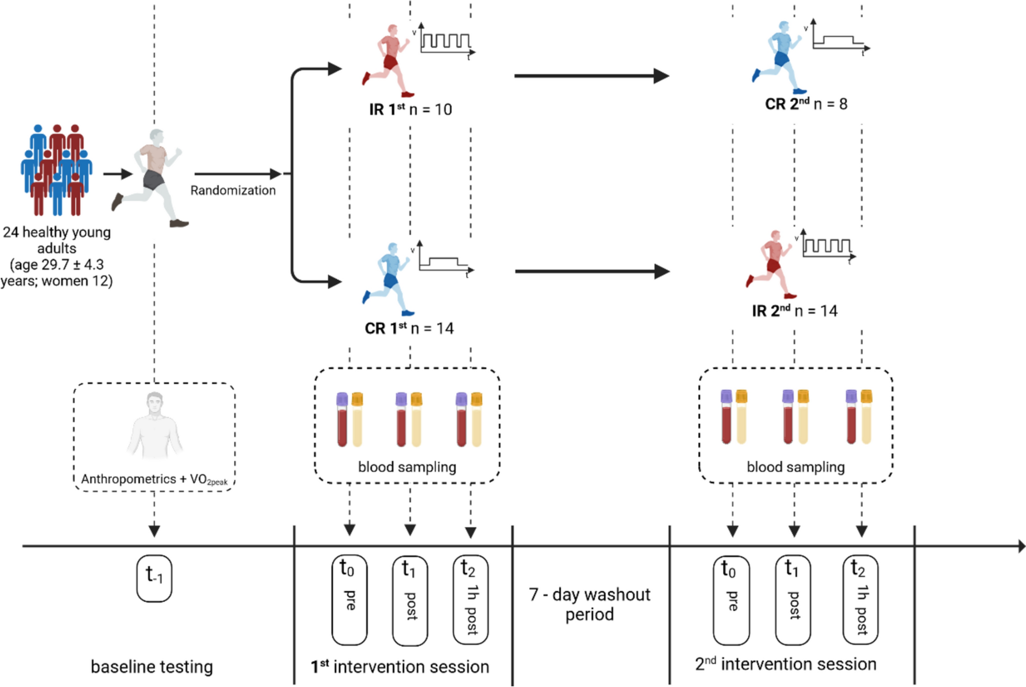 Neutrophil but not lymphocyte response to matched interval and continuous running differs between protocols and sex