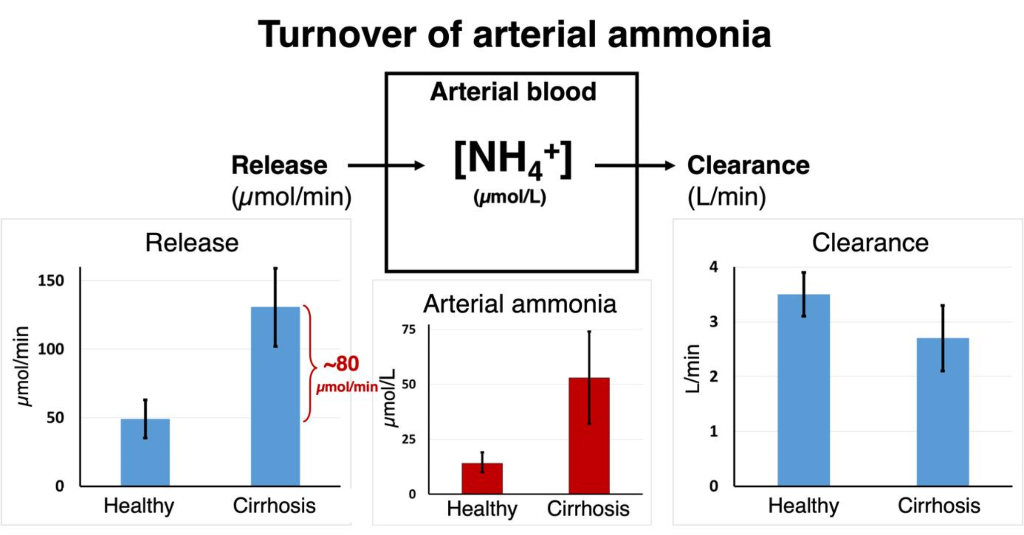 Down the road towards hepatic encephalopathy. The elusive ammonia– what determines the arterial concentration?