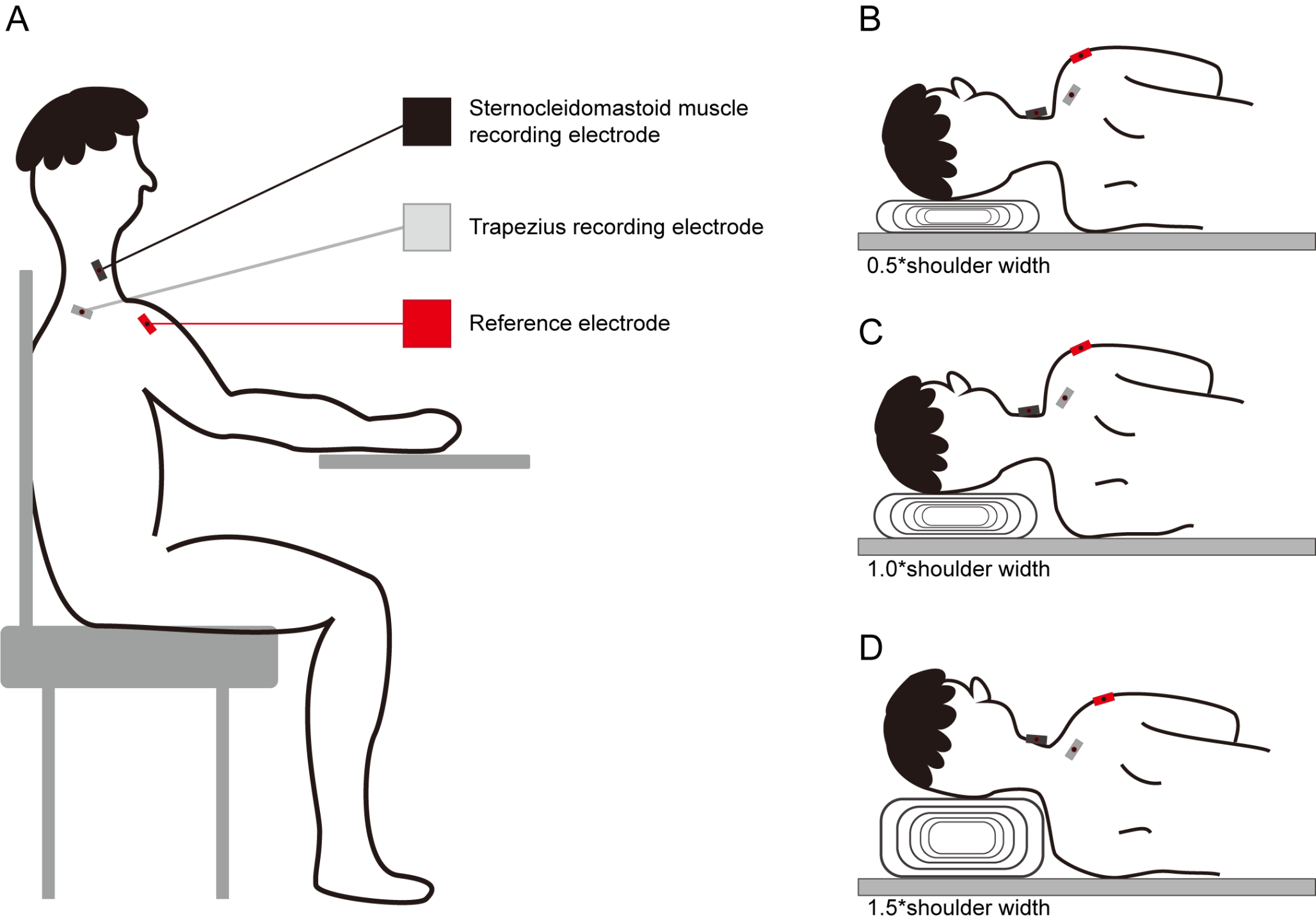 The impact of pillow height on neck muscle activity: a pilot study