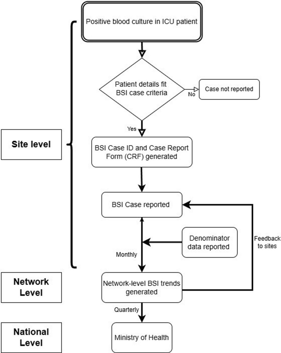 Implementing a healthcare-associated bloodstream infection surveillance network in India: a mixed-methods study on the best practices, challenges and opportunities, 2022