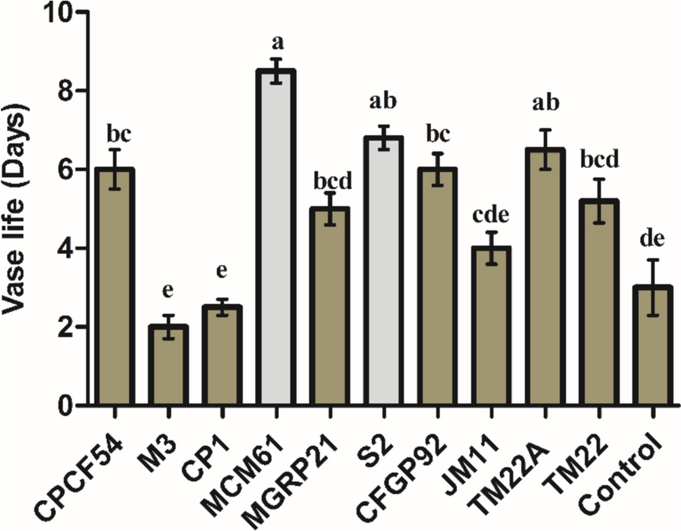 Lipopeptides from Bacillus atrophaeus MCM61 and melatonin suppress gray mold-induced oxidative stress in cut roses (Rosa hybrida L.) and improve vase life