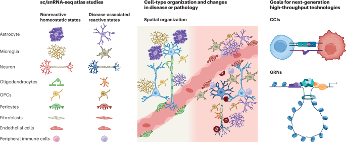 Opportunities and challenges of single-cell and spatially resolved genomics methods for neuroscience discovery