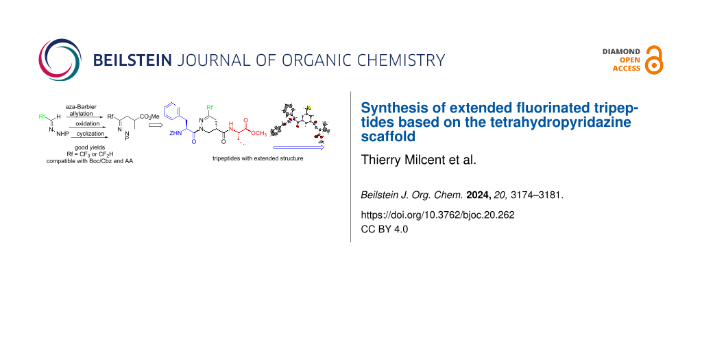 Synthesis of extended fluorinated tripeptides based on the tetrahydropyridazine scaffold