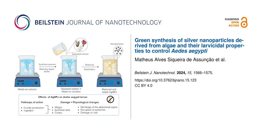 Green synthesis of silver nanoparticles derived from algae and their larvicidal properties to control Aedes aegypti