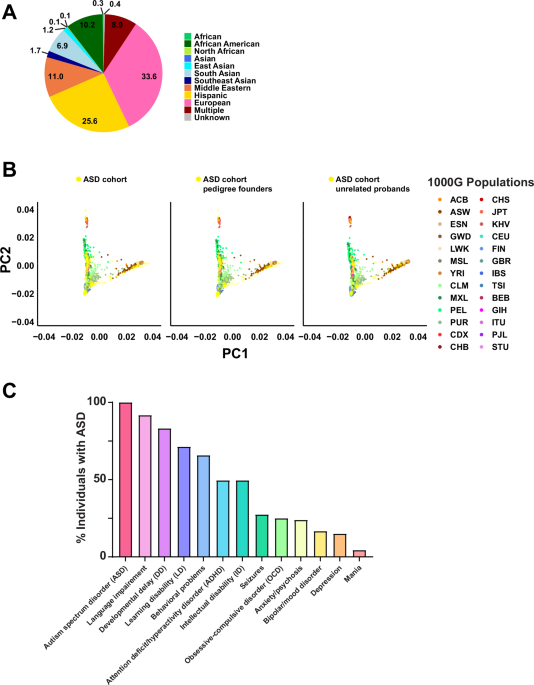 The genetic landscape of autism spectrum disorder in an ancestrally diverse cohort