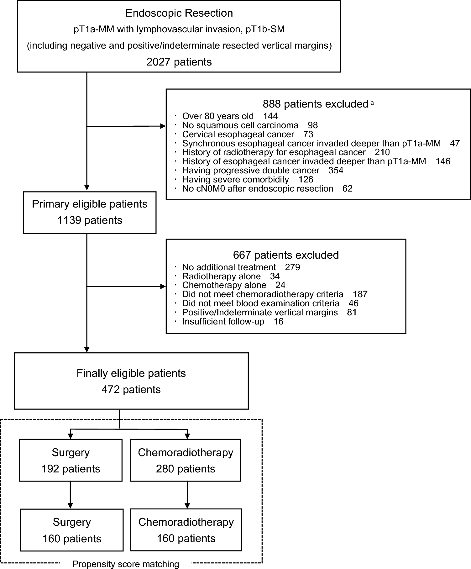 Comparison of outcomes between surgery and chemoradiotherapy after endoscopic resection for pT1a-MM with lymphovascular invasion or pT1b esophageal squamous cell carcinoma: Japanese multicenter propensity score-matched study