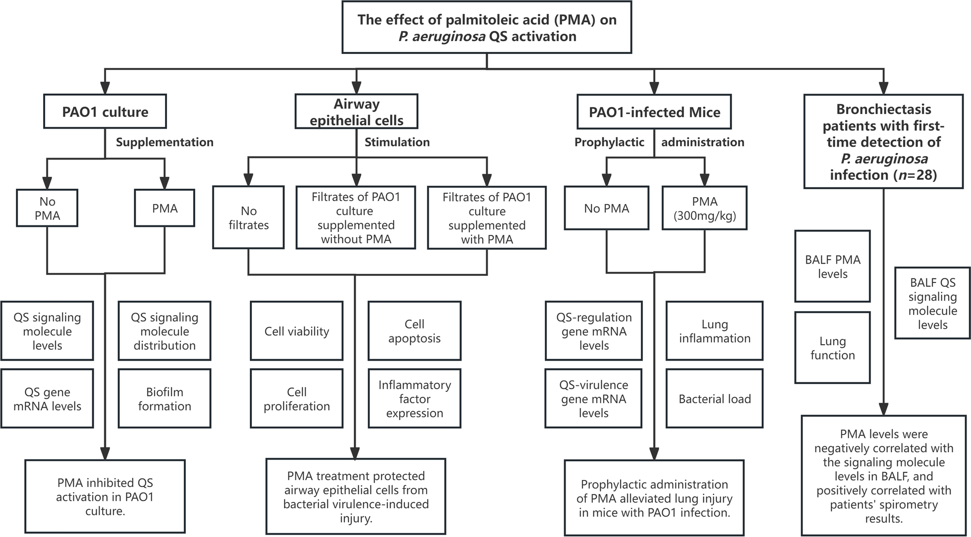 Palmitoleic acid inhibits Pseudomonas aeruginosa quorum sensing activation and protects lungs from infectious injury