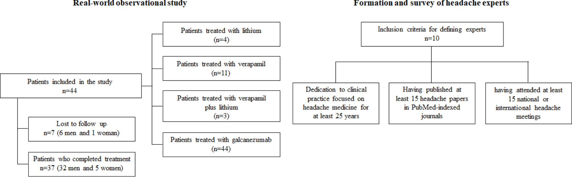 Cluster headache and galcanezumab: the first real-world Brazilian study and an expert consensus on its use among other treatments