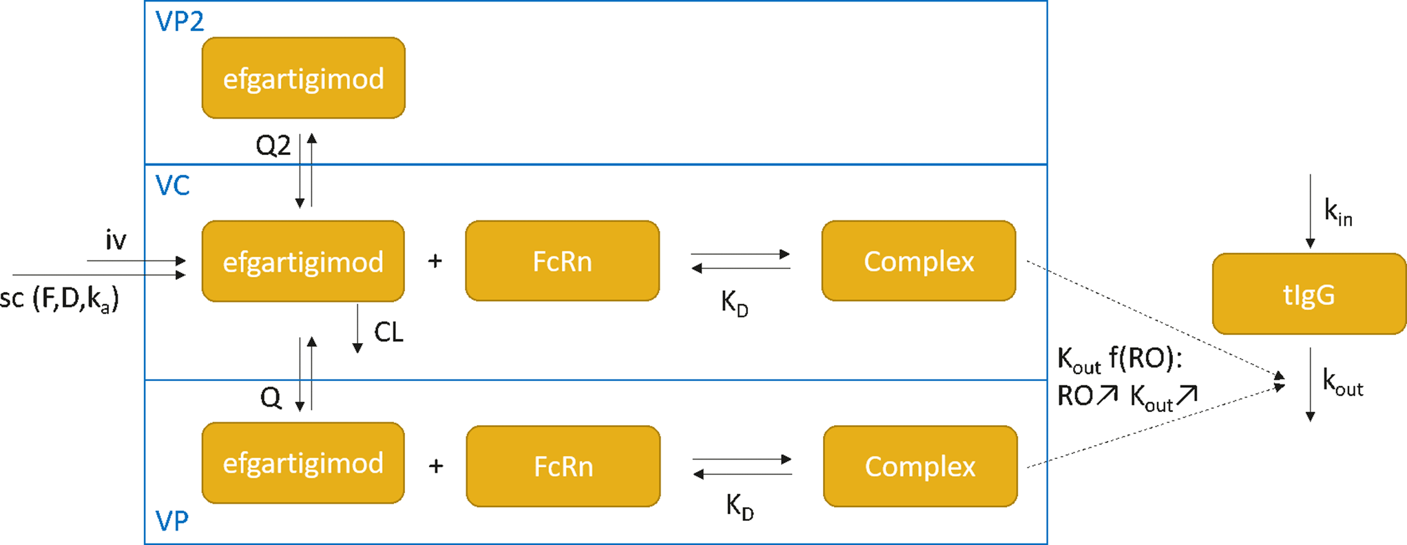 Translational population target binding model for the anti-FcRn fragment antibody efgartigimod