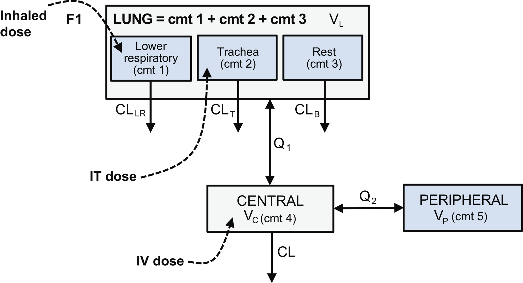 Semi-mechanistic population pharmacokinetic modeling of DZIF-10c, a neutralizing antibody against SARS-Cov-2: predicting systemic and lung exposure following inhaled and intravenous administration