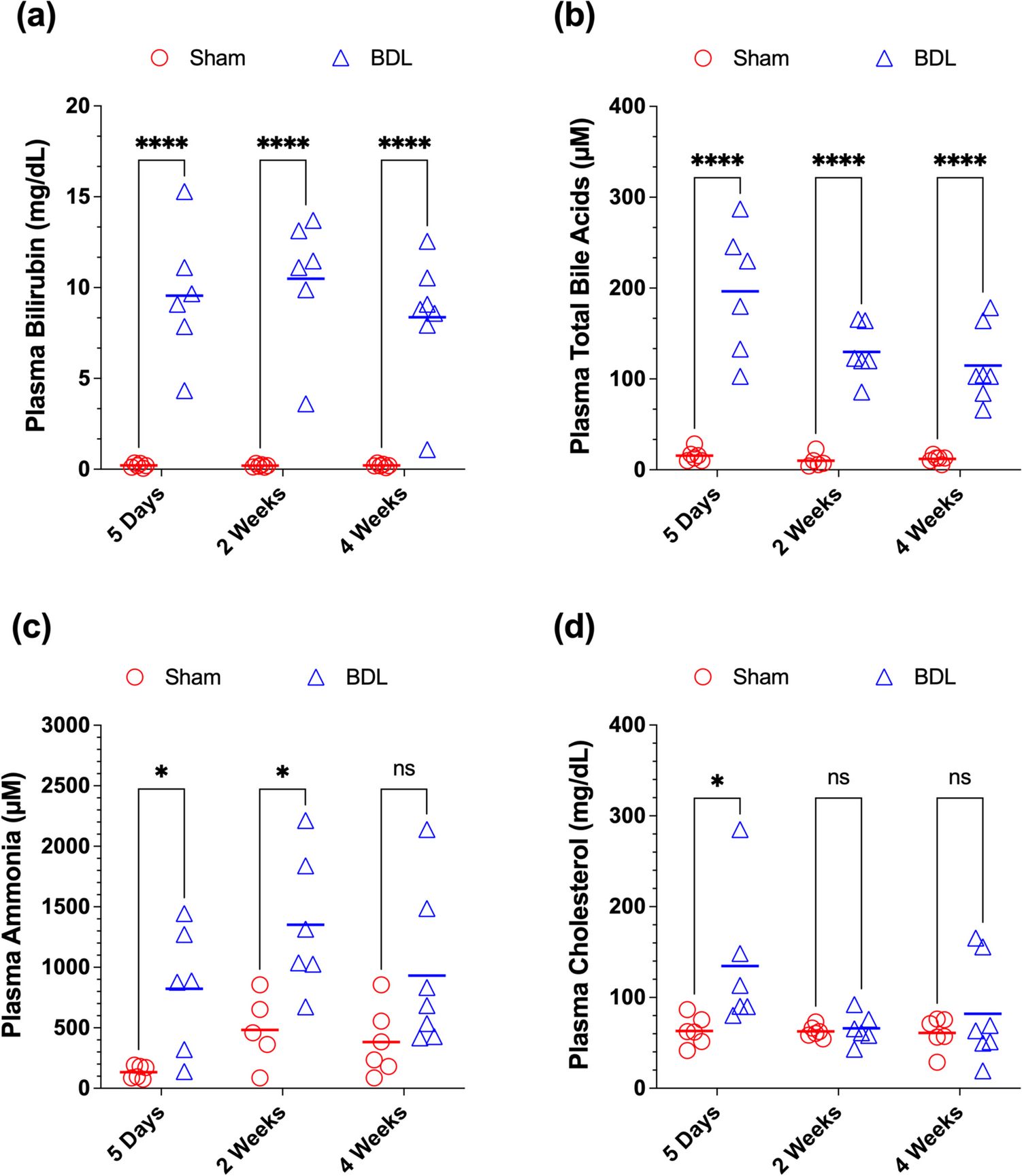 Bile duct ligation-induced cirrhosis does not alter the blood-brain barrier permeability to sucrose in rats