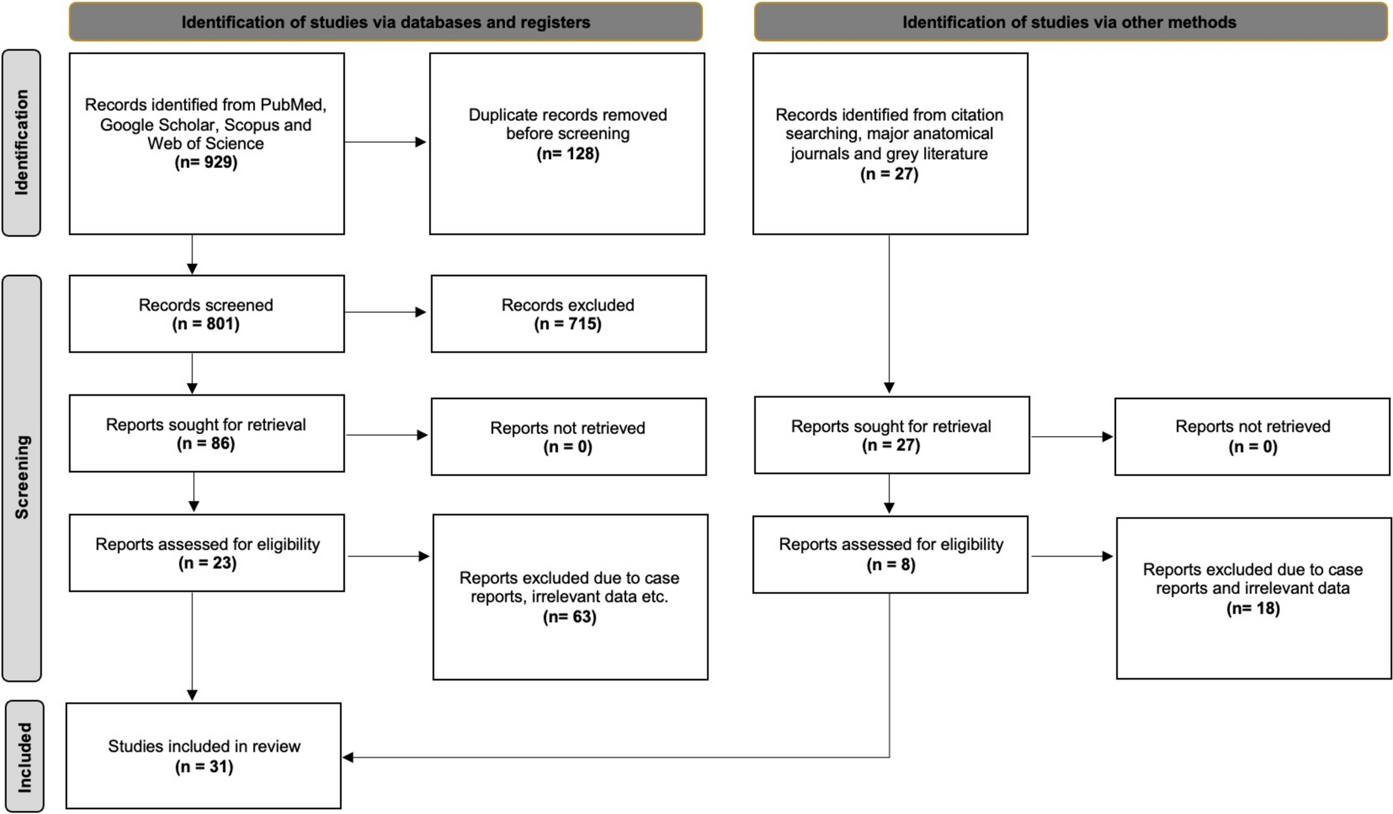 The extensor digitorum brevis manus variability and clinical significance: a systematic review with meta-analysis