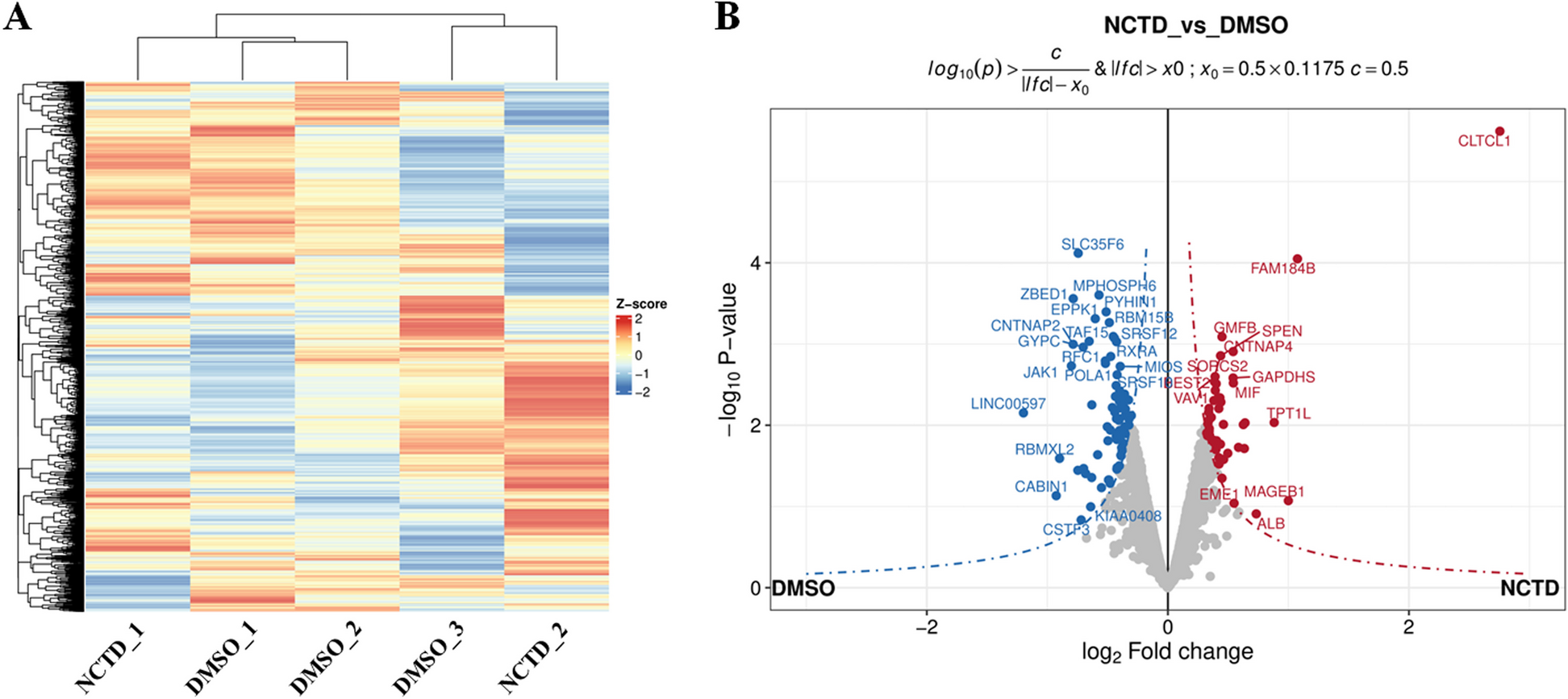 LC–MS-based quantitation of proteomic changes induced by Norcantharidin in MTB-Treated macrophages