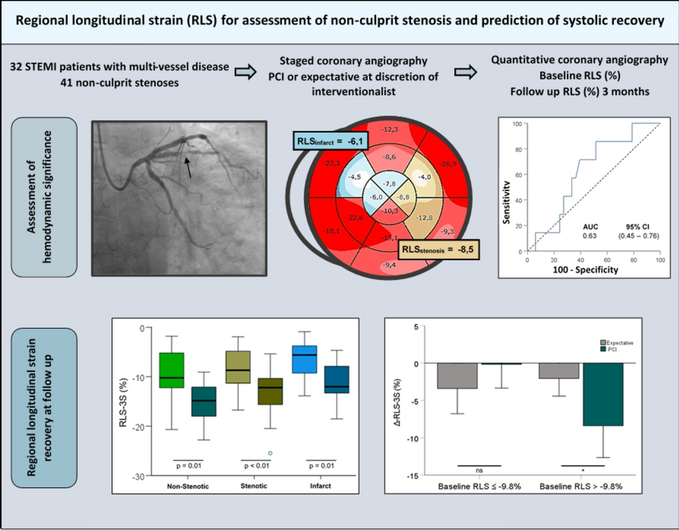 Echocardiography-derived regional strain for assessment of non-culprit stenosis and prediction of systolic function recovery in acute STEMI