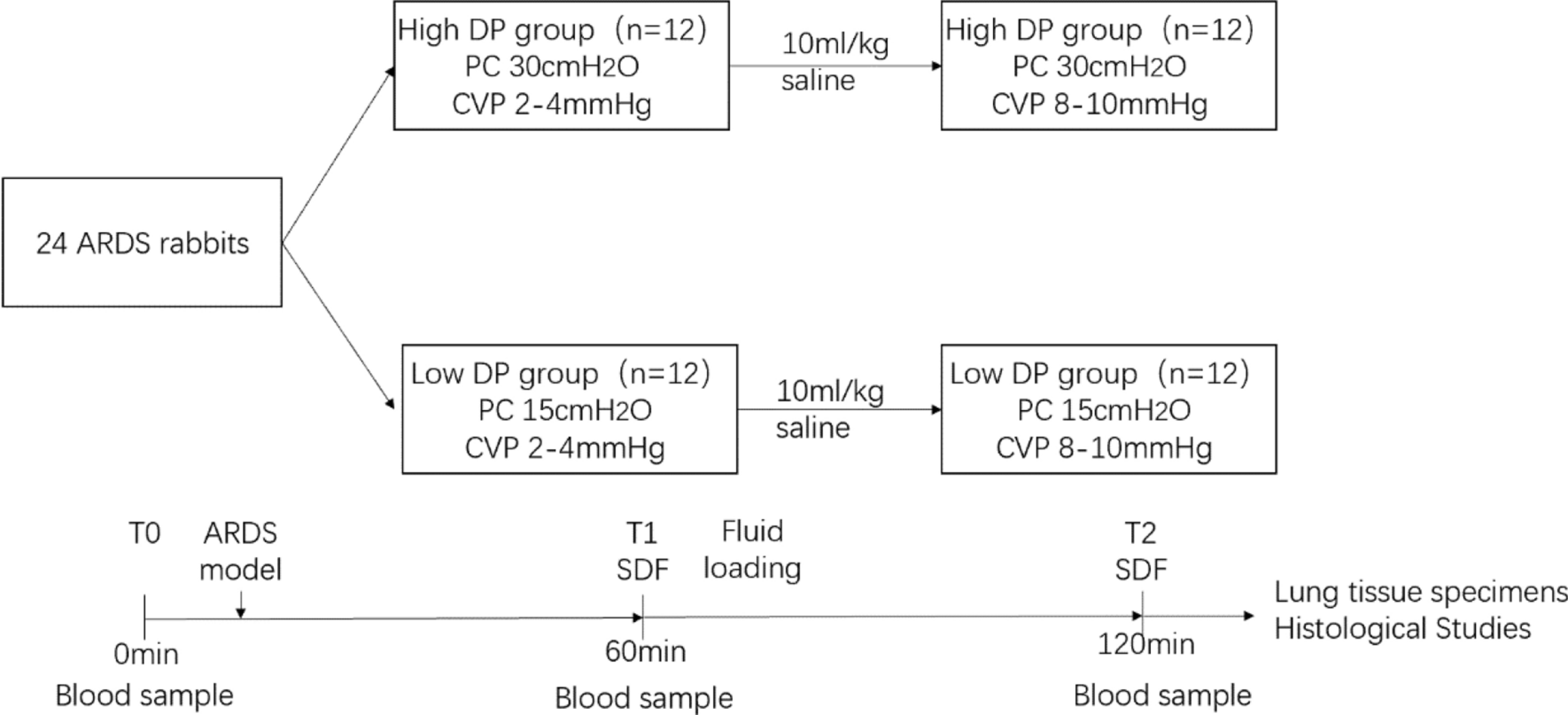 Effect of fluid and driving pressure on cyclical “on–off” flow of pulmonary microcirculation during mechanical ventilation