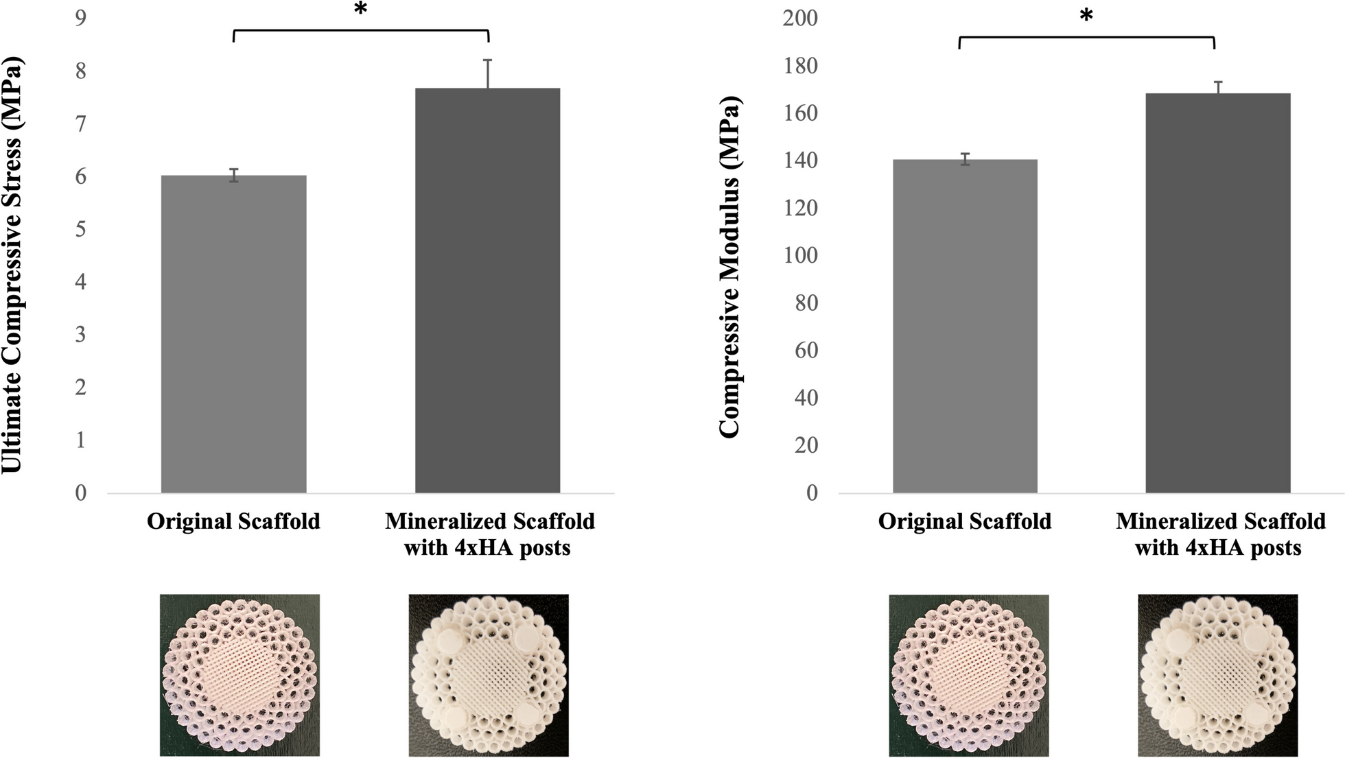 3D-Printed Polymer Scaffolds for Vascularized Bone Regeneration Using Mineral and Extracellular Matrix Deposition