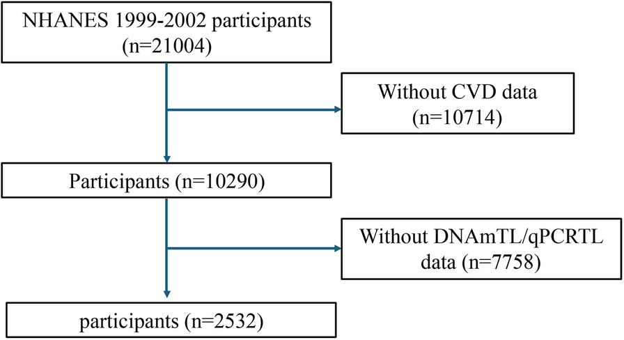 DNA methylation-based telomere length is more strongly associated with cardiovascular disease and long-term mortality than quantitative polymerase chain reaction-based telomere length: evidence from the NHANES 1999–2002