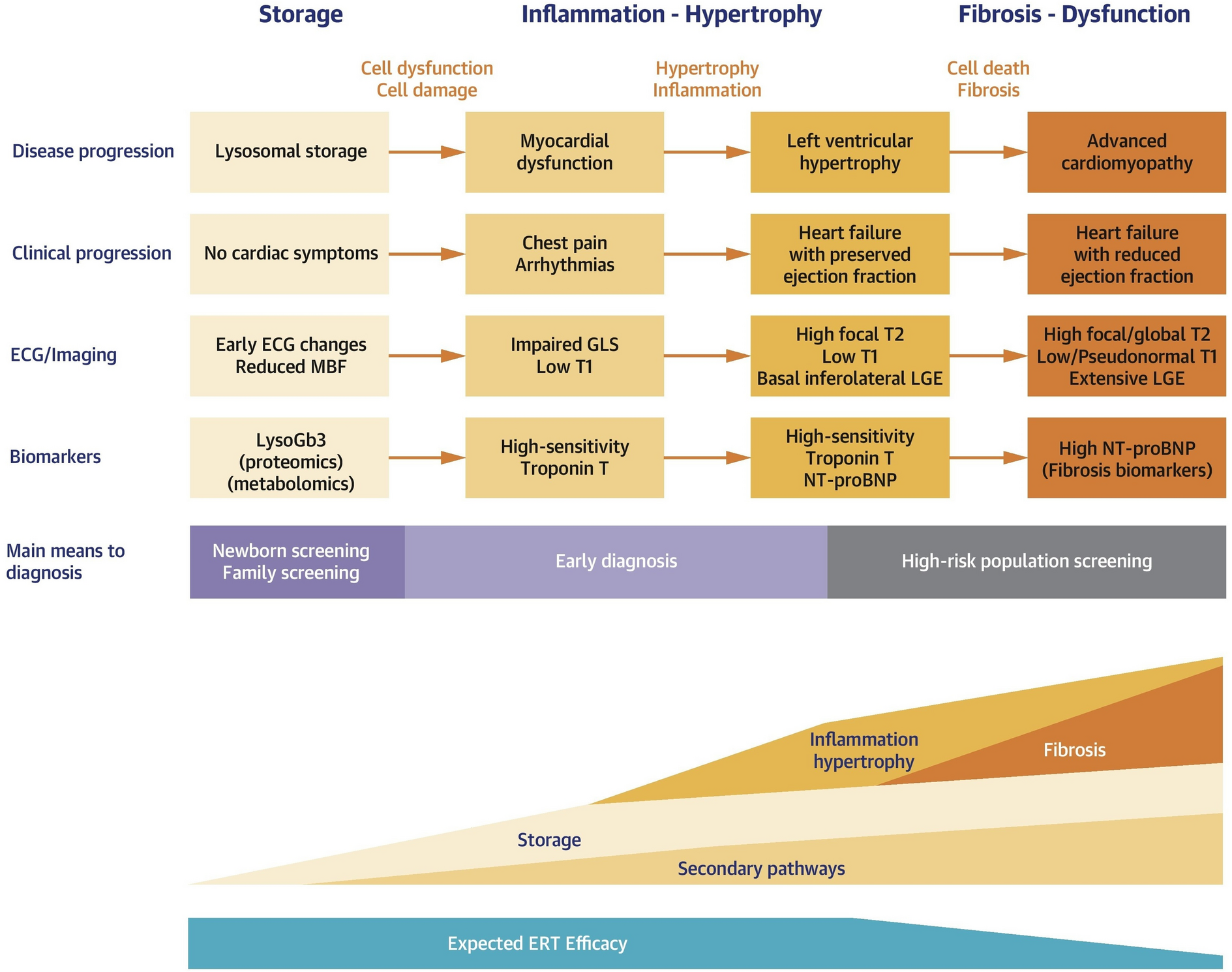 Effects of Current Therapies on Disease Progression in Fabry Disease: A Narrative Review for Better Patient Management in Clinical Practice