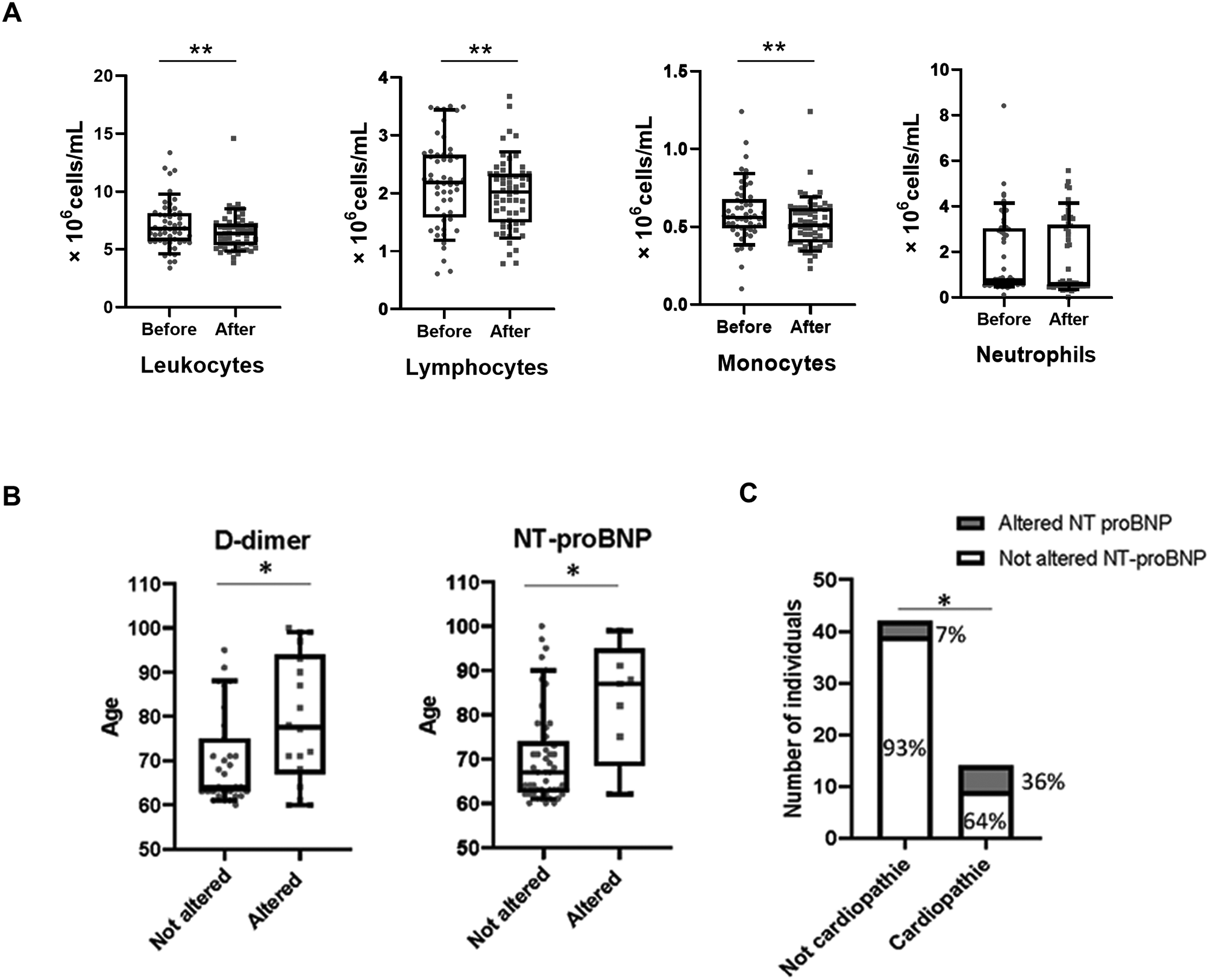 Characterisation of specific responses to three models of viral antigens in immunocompetent older adults