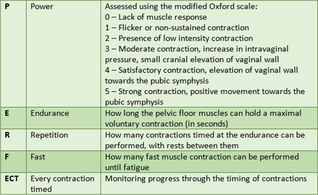 Relationship Between the PERFECT Scheme, Vaginal Manometry, and Transperineal Ultrasound in Women With and Without Stress Urinary Incontinence: A Cross-Sectional Study