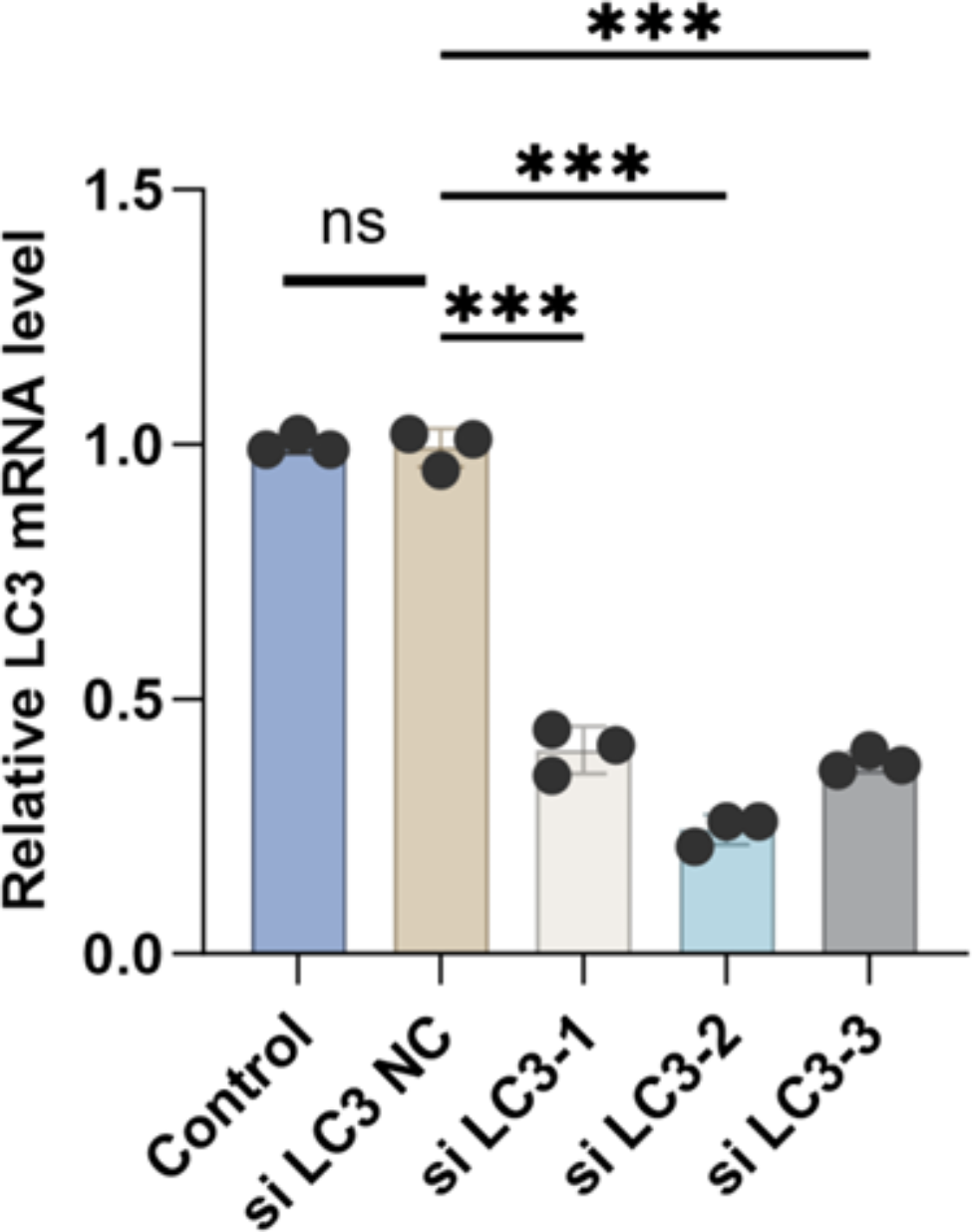 Porphyromonas gingivalis inducing autophagy-related biological dysfunction in alveolar epithelial cells: an in vitro study