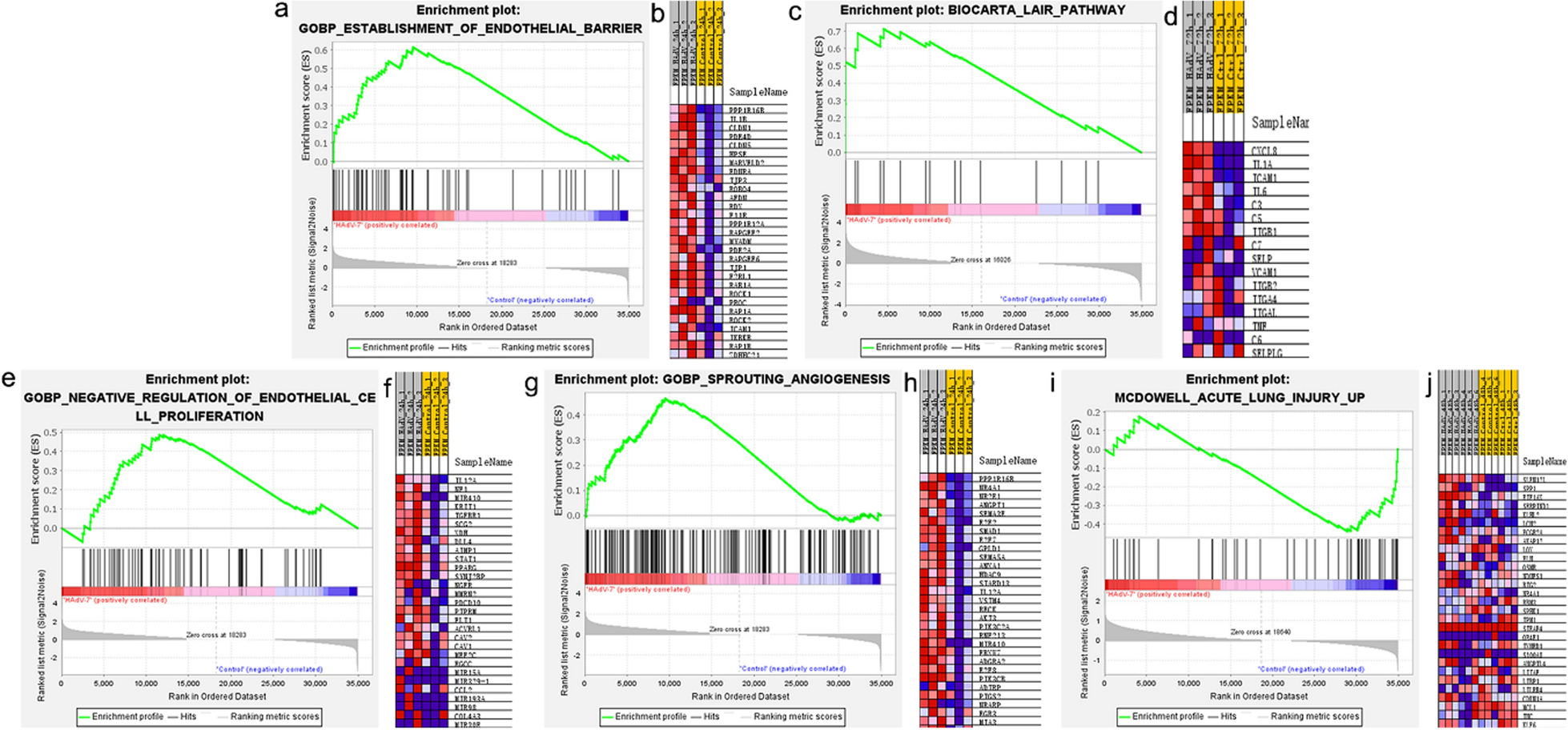 Human adenovirus type 7 (HAdV-7) infection induces pulmonary vascular endothelial injury through the activation of endothelial autophagy