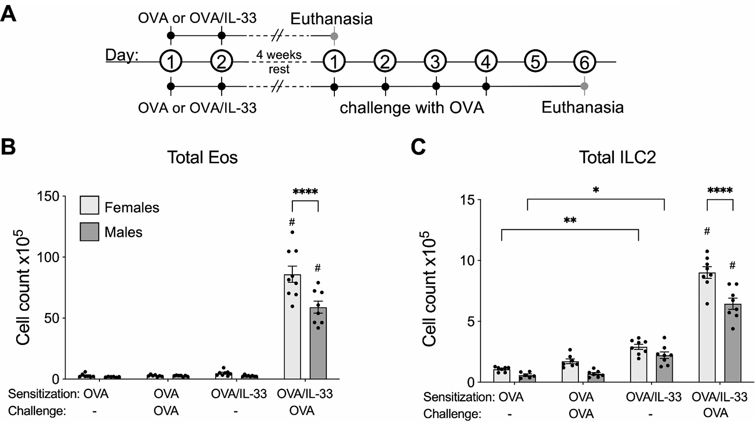 IL-33-experienced group 2 innate lymphoid cells in the lung are poised to enhance type 2 inflammation selectively in adult female mice