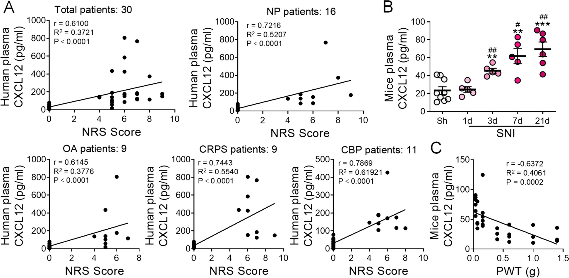 Elevated plasma CXCL12 leads to pain chronicity via positive feedback upregulation of CXCL12/CXCR4 axis in pain synapses