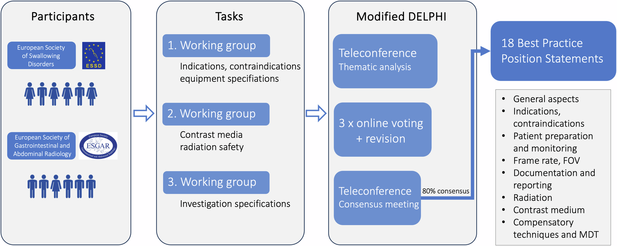 ESSD–ESGAR best practice position statements on the technical performance of videofluoroscopic swallowing studies in adult patients with swallowing disorders