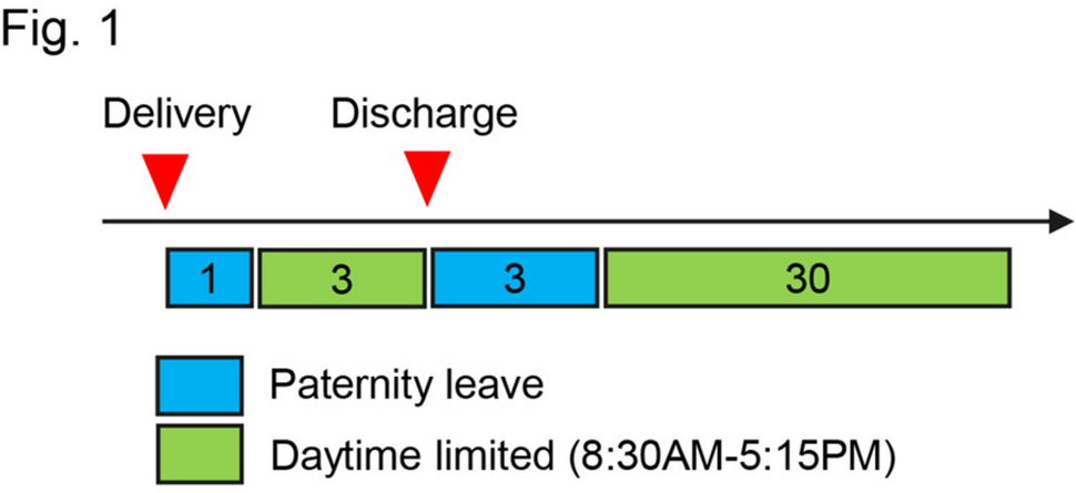 Optimization of workflow processes for sustainable paternal involvement: case study of an academic “daddy surgeon” in Japan