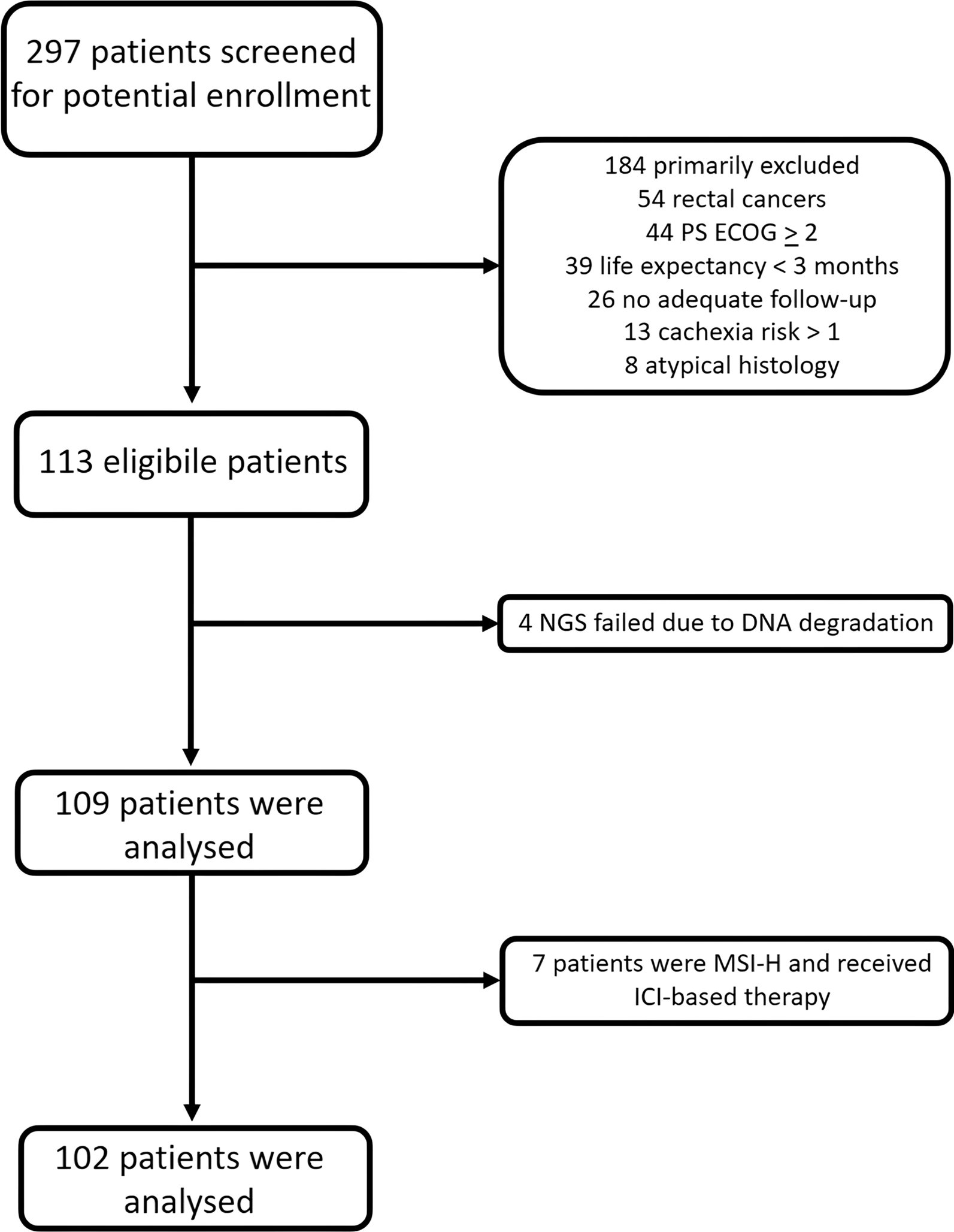 High tumor mutational burden assessed through next-generation sequencing predicts favorable survival in microsatellite stable metastatic colon cancer patients