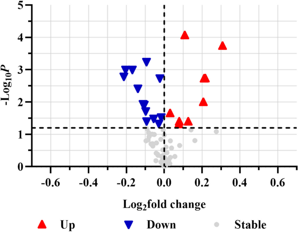 Associations of Lipid Metabolites with Insulin Resistance and Hypertriglyceridemia in Youth