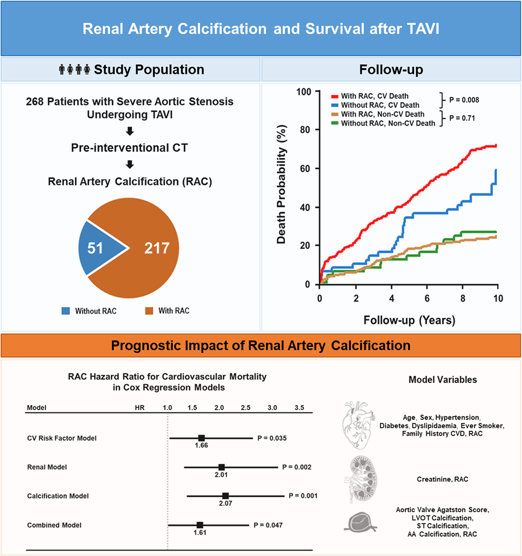 Pre-interventional renal artery calcification and survival after transcatheter aortic valve implantation