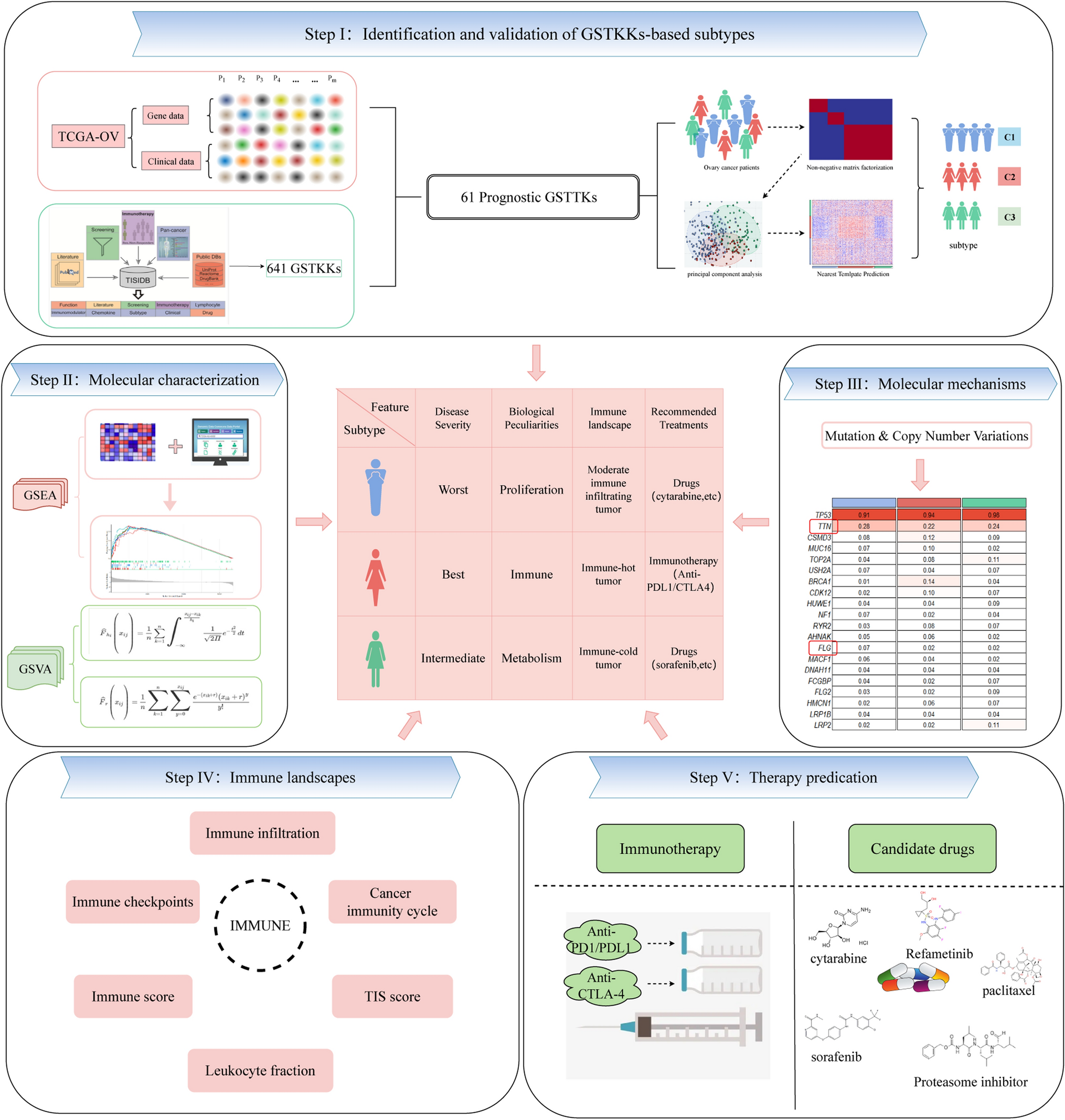 The T cell-mediated tumor killing patterns revealed tumor heterogeneous and proposed treatment recommendation in ovary cancer