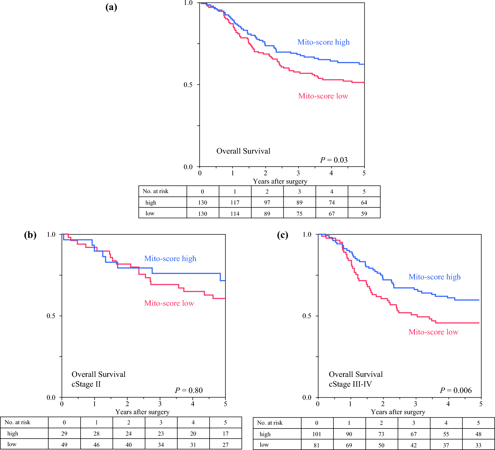 Survival Impacts of Mitochondrial Status in Esophageal Squamous Cell Carcinoma Patients