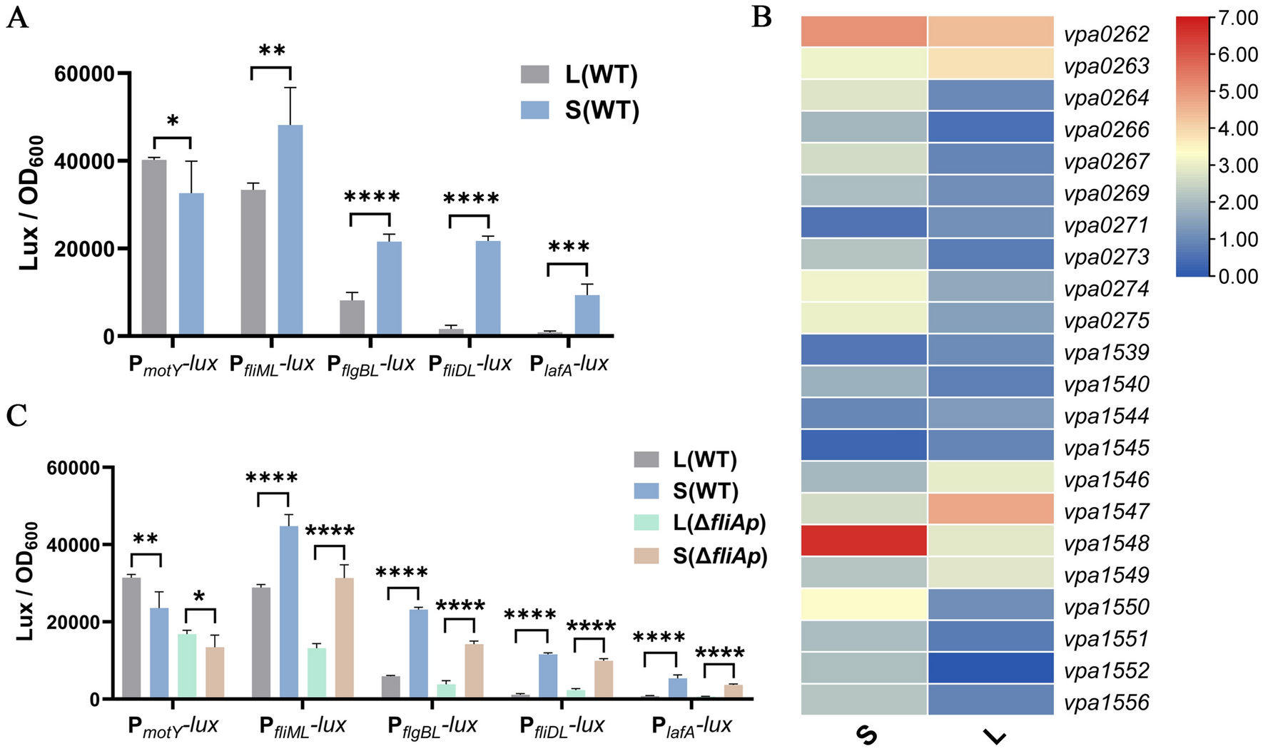 Vibrio parahaemolyticus Down-Regulates the Intracellular c-di-GMP Level to Promote Swarming Motility by Sensing Surface