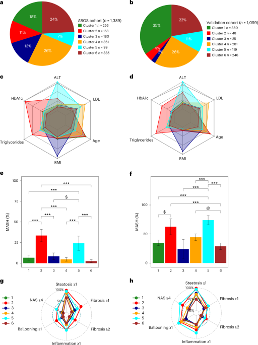 Data-driven cluster analysis identifies distinct types of metabolic dysfunction-associated steatotic liver disease