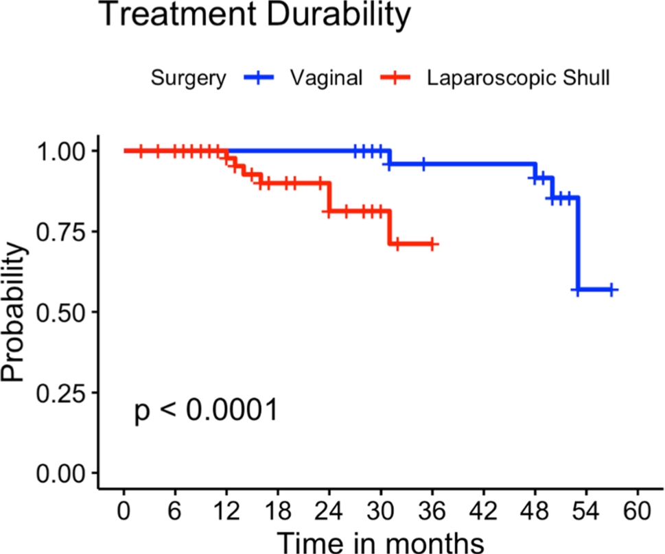 Laparoscopic Shull Technique for Uterine Prolapse and Risk of Recurrences: A Retrospective Comparison with Vaginal Hysterectomy