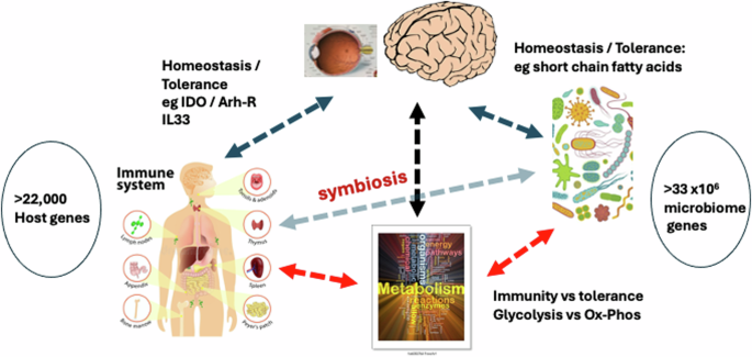 Evolution of the ocular immune system