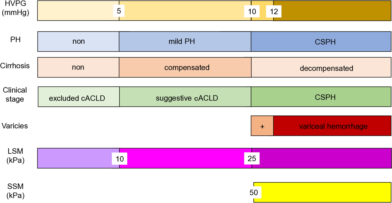 Standard technique in Japan for measuring hepatic venous pressure gradient