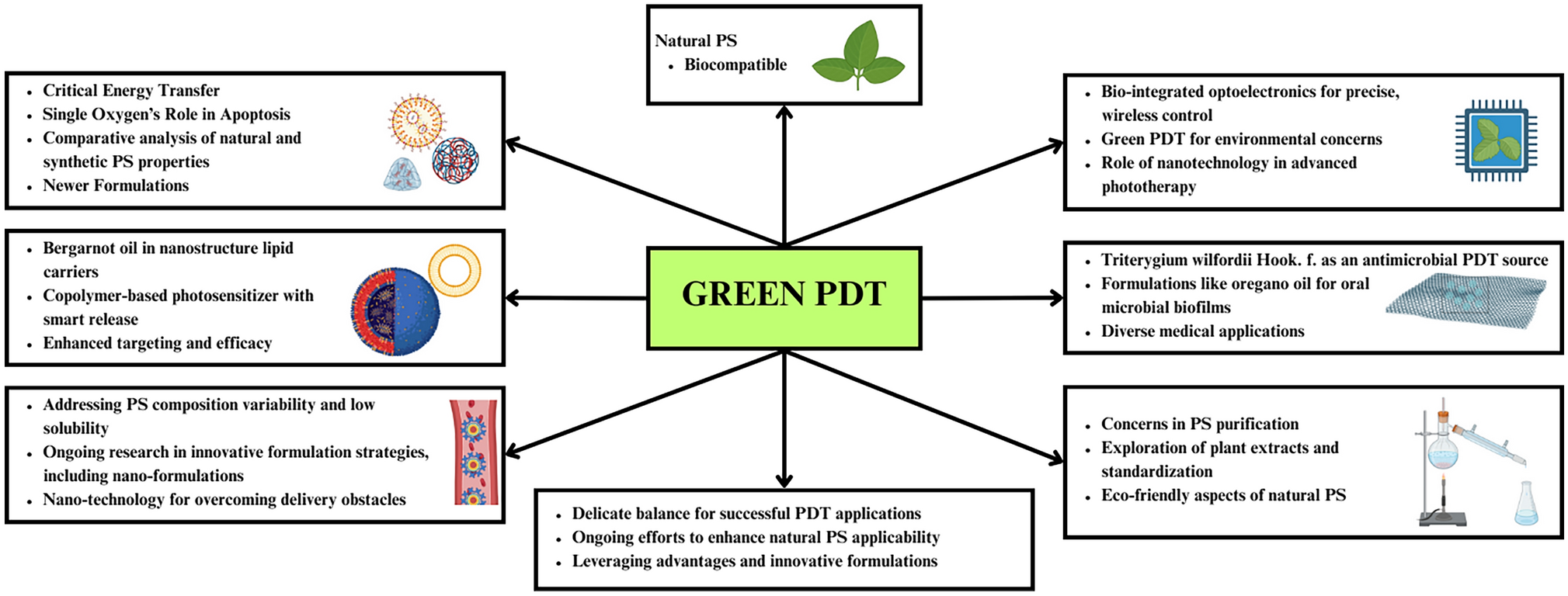 Divulging the potency of naturally derived photosensitizers in green PDT: an inclusive review Of mechanisms, advantages, and future prospects