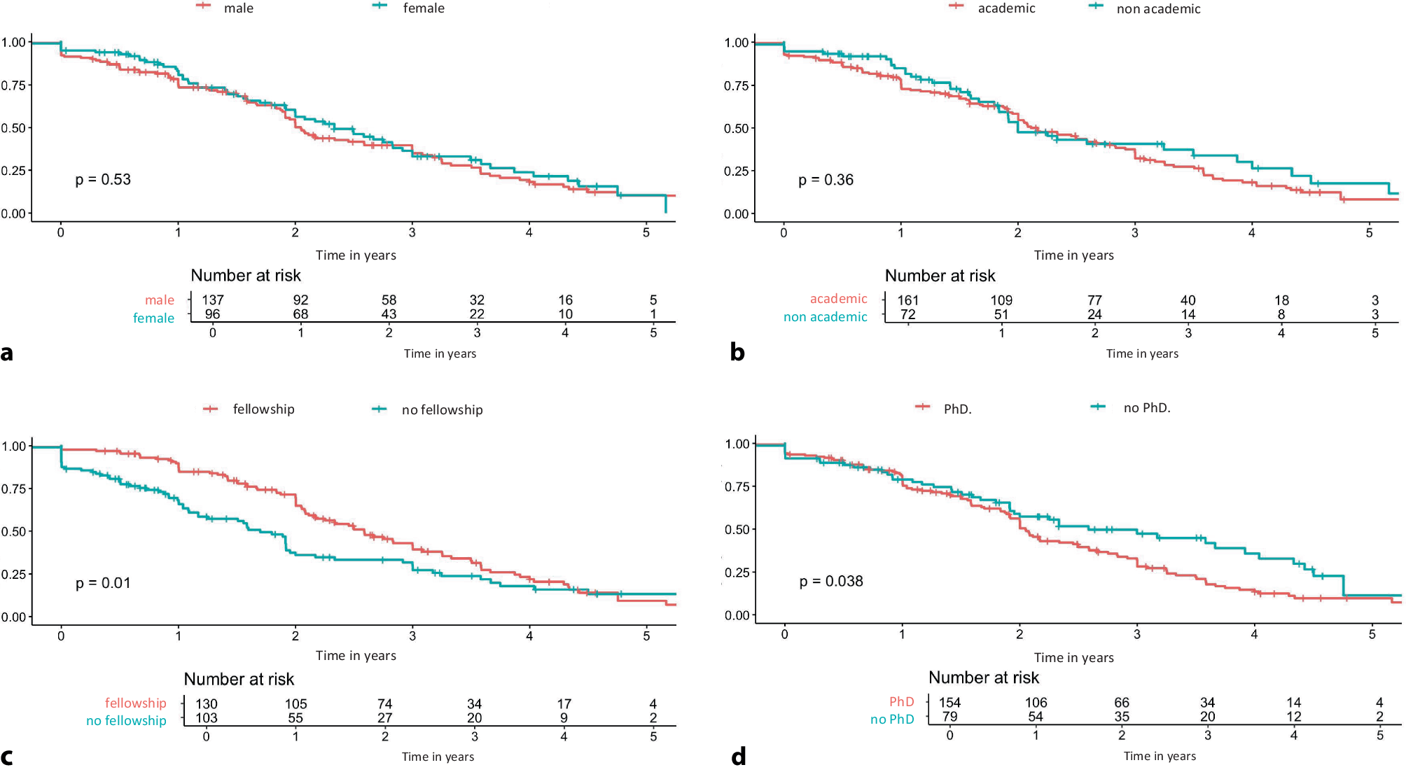 Career perspectives of early-career cardiologists in the Netherlands